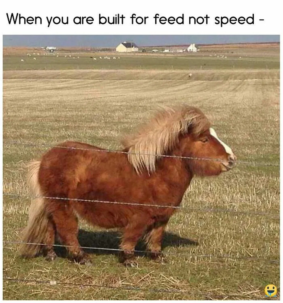 вєуσи∂ χтяємє ѕнσтѕ ✝ tweet media