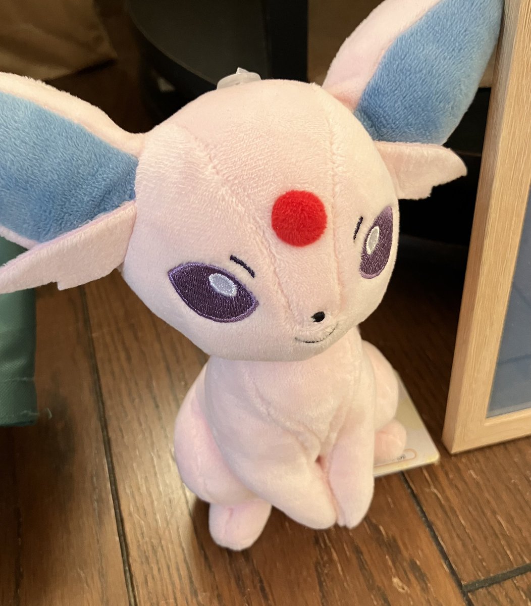 FF6WhiteDress's tweet photo. ポケモンの、
ぬいぐるみを買ってみた。🙄
かわいい。😊 https://t.co/qEyR8Vc1V6