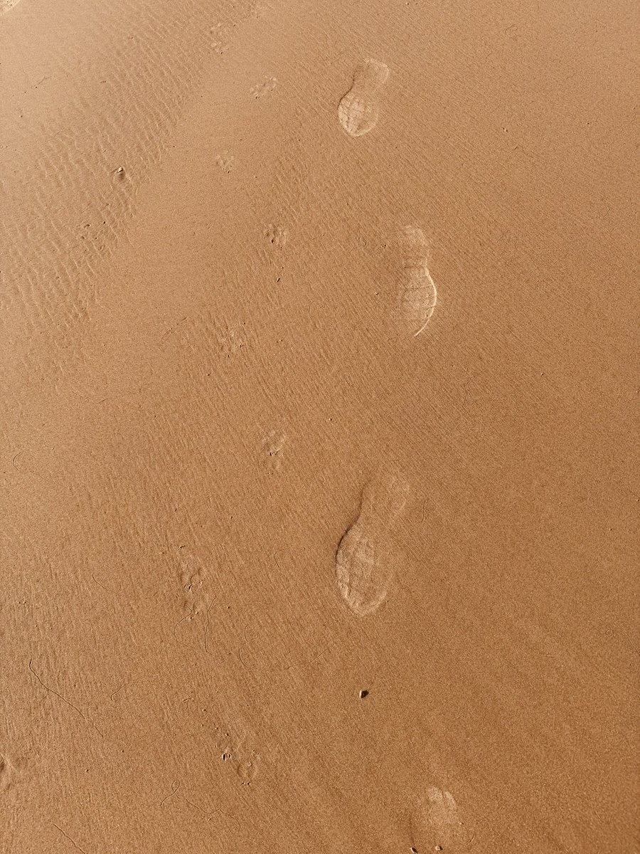 Side by side, always. Man’s best friend. 🐕‍🦺🐾