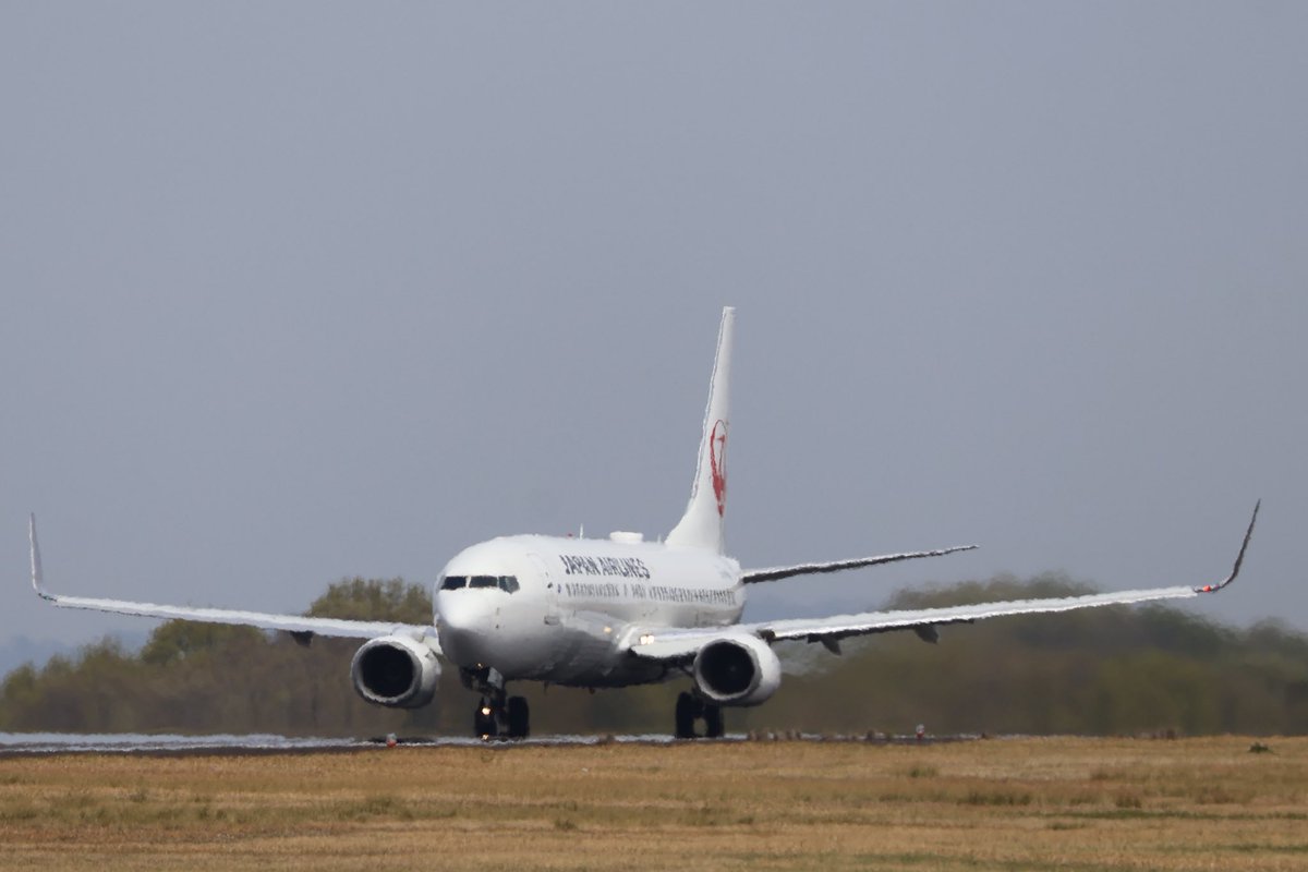 Aldebaran114's tweet photo. いつもと違うポイントから撮ってみました。📸
菜の花空港にようこそ🤗
#JAL #B737 #JA331J #高松空港 https://t.co/Frs8yeHche