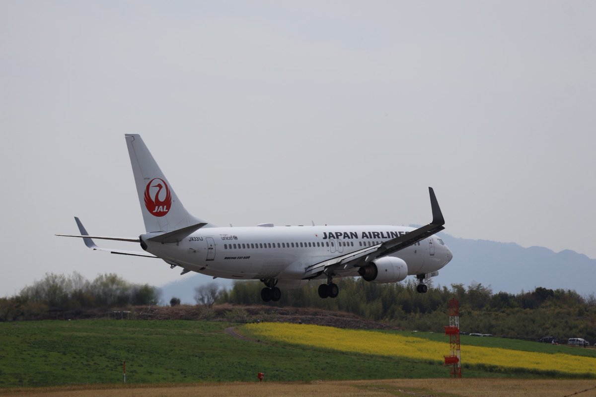 Aldebaran114's tweet photo. いつもと違うポイントから撮ってみました。📸
菜の花空港にようこそ🤗
#JAL #B737 #JA331J #高松空港 https://t.co/Frs8yeHche