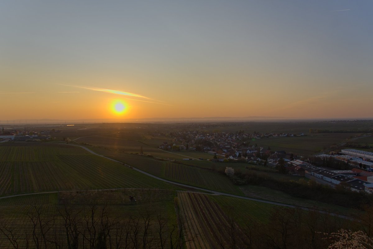 DominicSeithel's tweet photo. #sonnenaufgang in der #rheinebene
---
#sunrise over the #rhinevalley https://t.co/WQqXR3NW0R