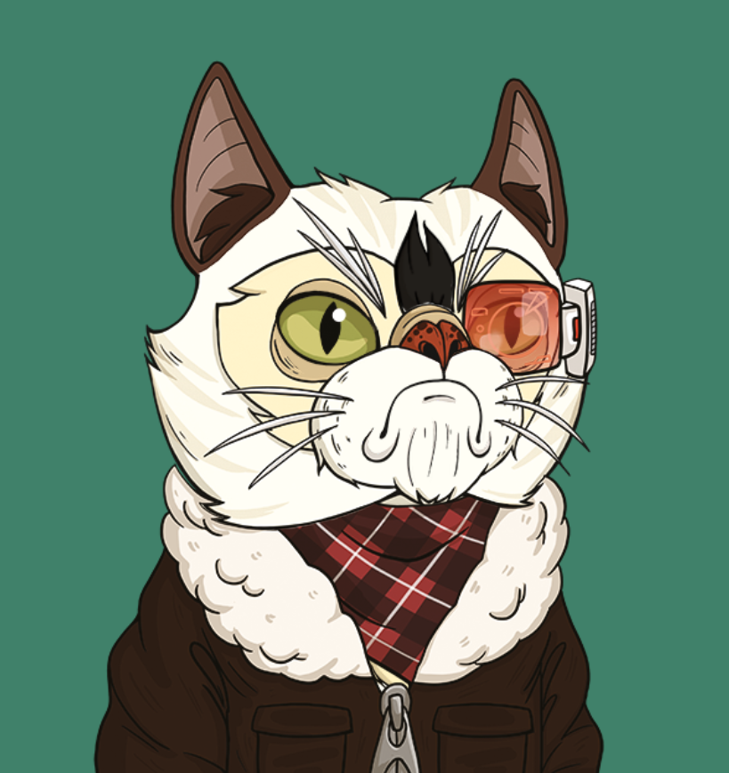 NFTCatClub's tweet photo. 🚨Enjoy your weekend!!!🚨 
😻Get a Grumpy Cat!😻 
https://t.co/1Mn7x3hKUH 
🩷Spread the Grumpy Cats🩷 
#minting #gift #nft #crypto #PFP #eth #ethereum #btc #profilepicture #collector #friday https://t.co/H9wSrSMw8i