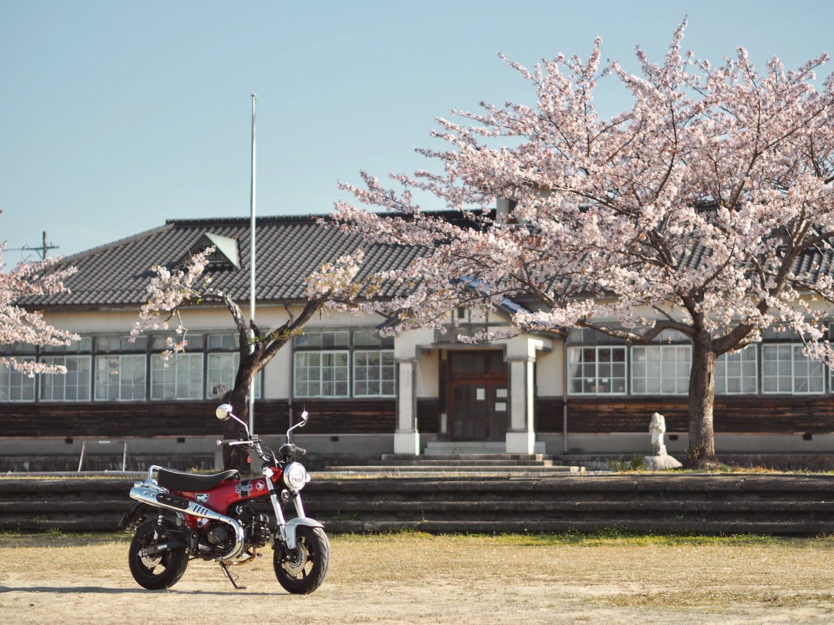nk1193645622's tweet photo. 上石津からの〜桐林館。
#ホンダダックス125
#ダックス125
#hondadax125
#dax125
#st125
#jb04 https://t.co/sIblUZVb57
