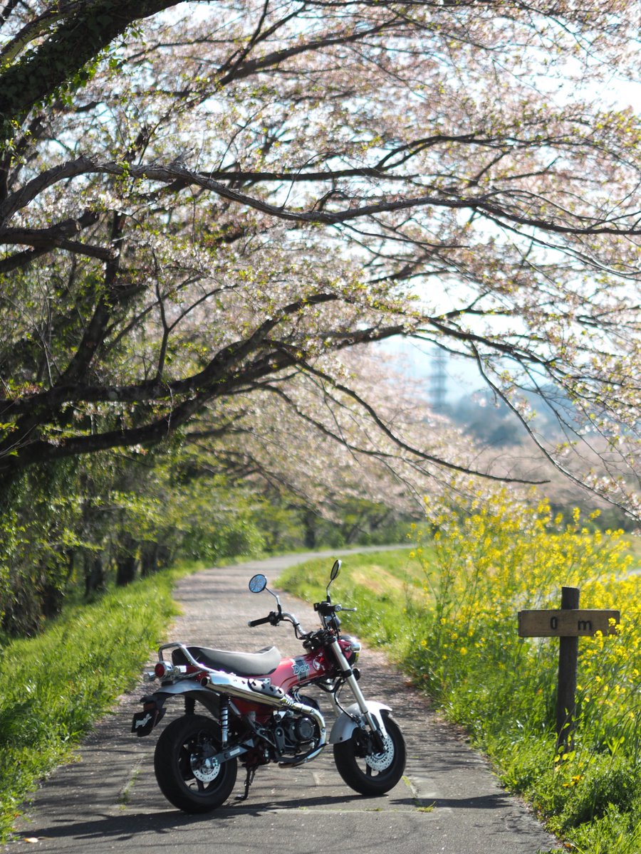 nk1193645622's tweet photo. そして毎度のココ。
#ホンダダックス125
#ダックス125
#hondadax125
#dax125
#st125
#jb04 https://t.co/nasyhCcgJL