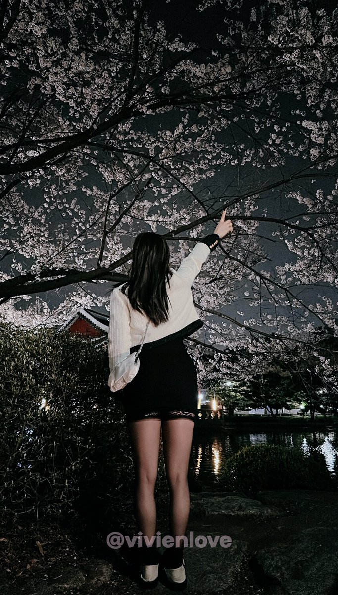 벚꽃엔딩 🌸🌸

📸 <a href="/smdevil4531/">Thanatos</a> 

#벚꽃 #엔딩 #벚고