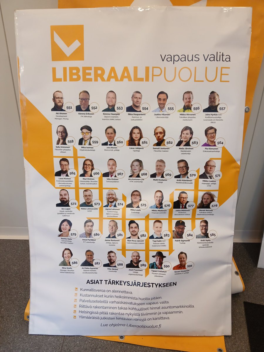 Myytävänä huutokaupassa Liberaalipuolueen Helsingin 2025 kuntavaalien ehdokasjuliste. 80x120cm, kennomuoville teipattuna. Huudot vastauksena.