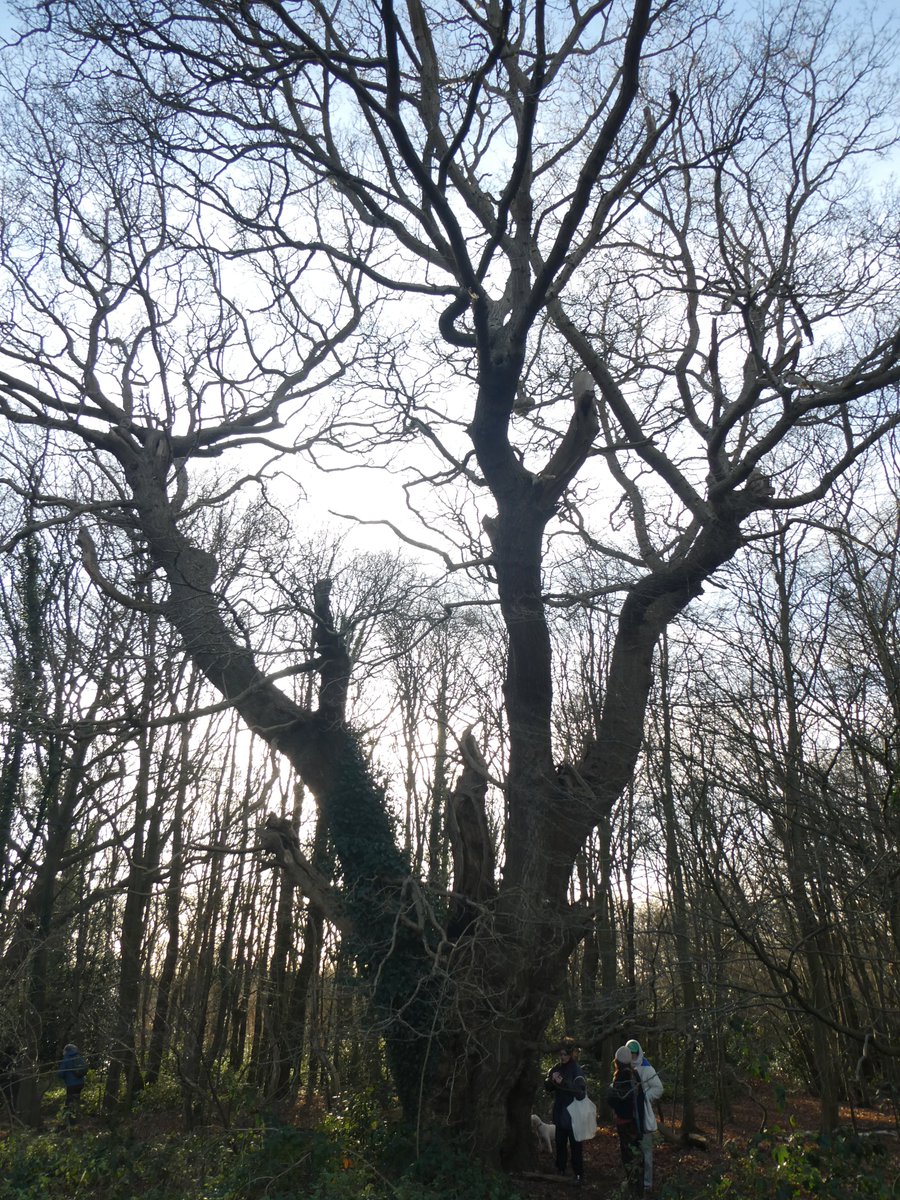 russell miller tweet media