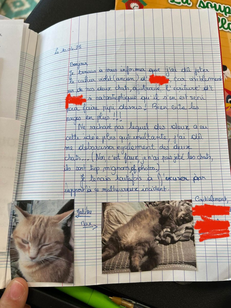Une collègue m’a envoyé ce que je pense être la meilleure excuse pour ne pas avoir son cahier à l’école je pleure de rire 😭