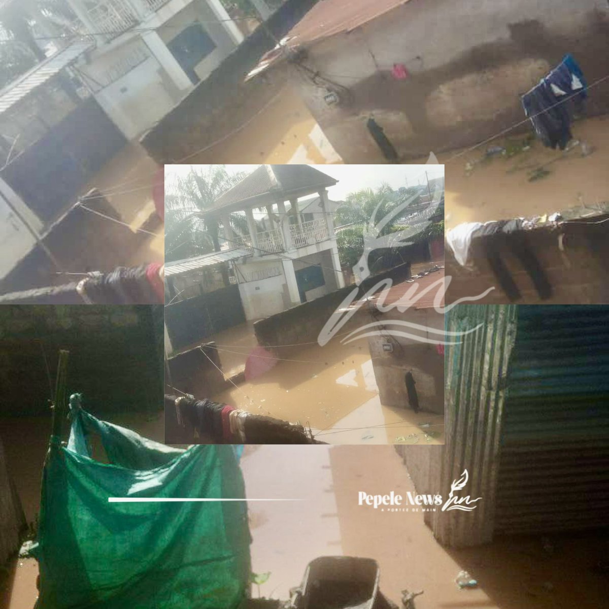 pepele_news's tweet photo. 🔴 ALERTE-INFO | Inondation à #LIMETE : des habitants bloqués depuis l’aube

Depuis 3h30 du matin, la rivière N’djili est sortie de son lit, provoquant une nouvelle inondation dans la commune de Limete, au niveau du quartier #Ndanu. Des habitants sont toujours bloqués sur place, parmi lesquels des personnes âgées, incapables de quitter les lieux par leurs propres moyens.

« Nous sommes coincés ici avec une grand-mère, et nous ne savons pas comment sortir. Nous devions partir ce matin, mais c’est impossible », témoigne un riverain sur place, visiblement désemparé. Les autorités ne se sont pas encore prononcées sur une éventuelle intervention de secours. #RDC #KINSHASA @pepele_news
