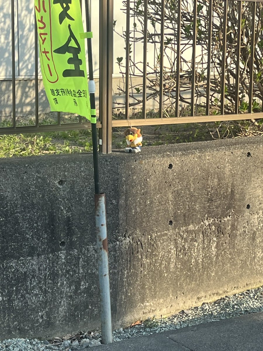 C6wGgc's tweet photo. 車の中から発見。
某ラーメン屋さんのお向かいにベガッ太さんの落とし物が。誰かが置いてくれたのかな？
落とし主にまた巡り会えます様に。 https://t.co/ZATXNeh6cw