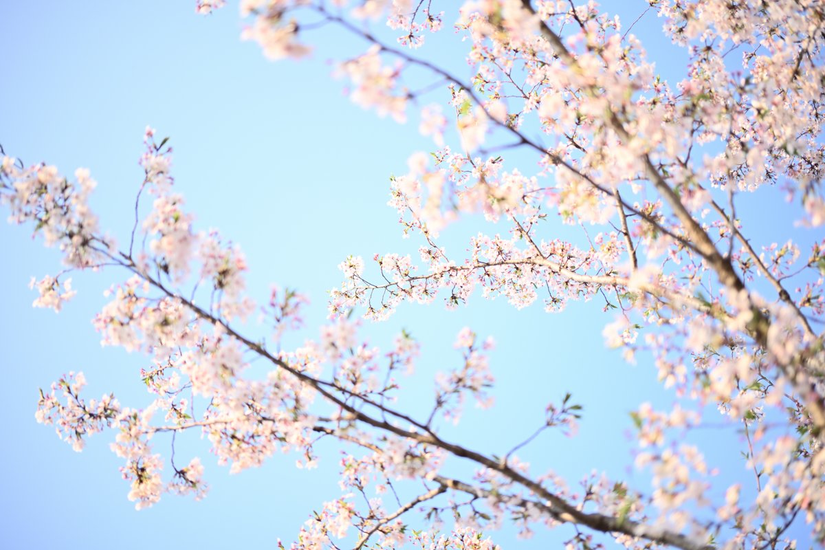 PhotoOrdinary's tweet photo. #photography https://t.co/pd5IT6jce1