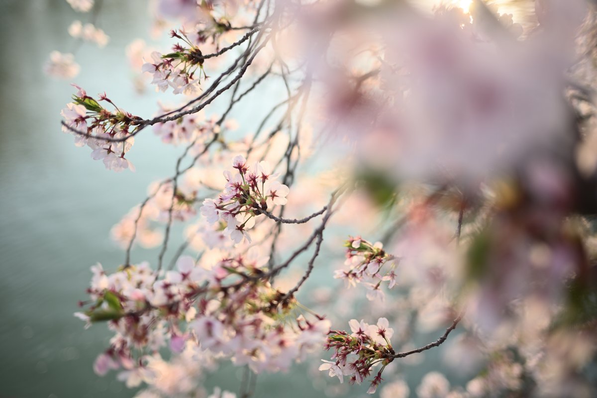 PhotoOrdinary's tweet photo. #photography https://t.co/pd5IT6jce1