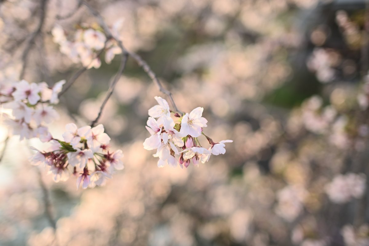 PhotoOrdinary's tweet photo. #photography https://t.co/pd5IT6jce1