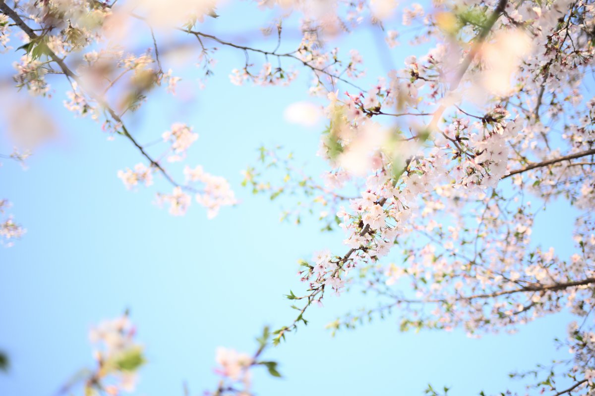 PhotoOrdinary's tweet photo. #photography https://t.co/pd5IT6jce1