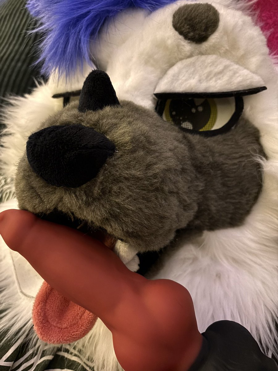 MaxDhusky's tweet photo. Playing with my toys even though I'd rather play with you. 💙 #furrynsfw #nsfw #murrsuit #nsfwfurry https://t.co/jUcAtnodLA
