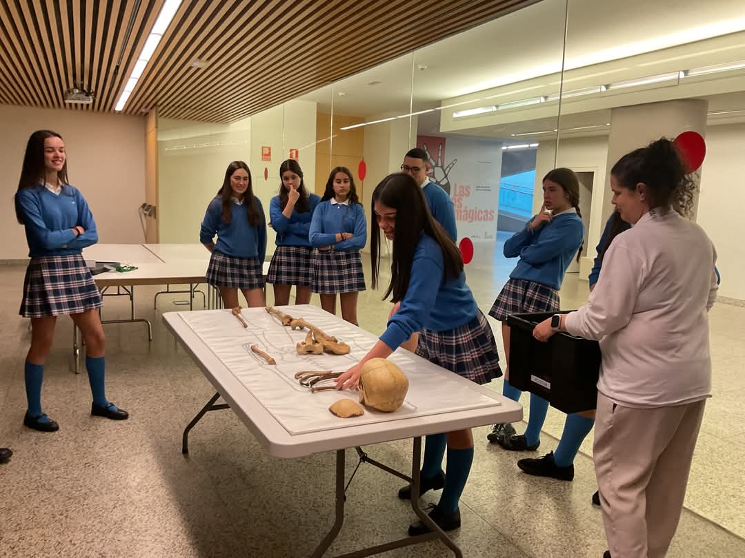 cmp_castro's tweet photo. Los alumnos de 4º ESO visitaron ayer el Museo de la Evolución Humana, en Burgos, donde pudieron seguir aprendiendo sobre el origen y la evolución del género Homo y conocer en la práctica todo lo que pueden contarnos los huesos. 

#somoseducere #somoscmp https://t.co/WylGn7aurW