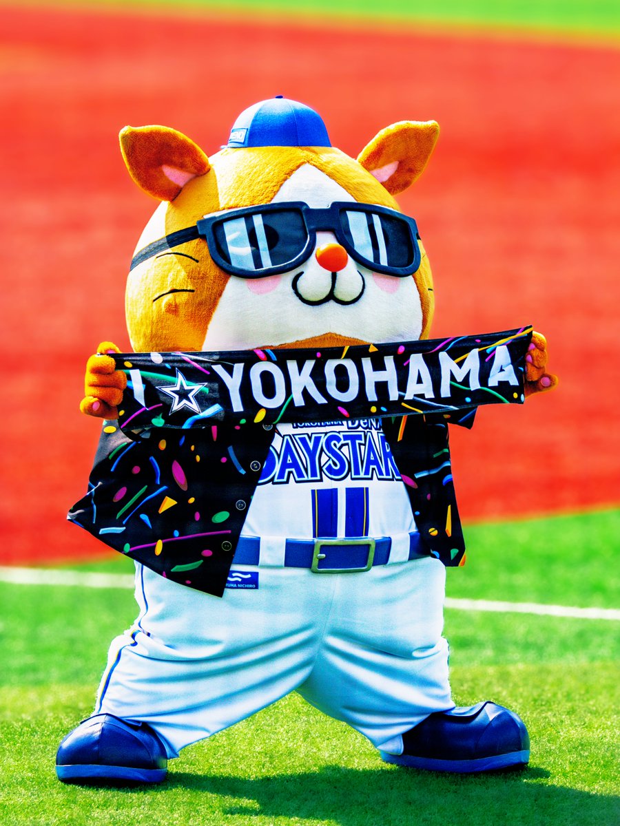 ⋆┈┈┈┈┈┈┈┈⋆ ⁡ 浮かれてるたぬき
