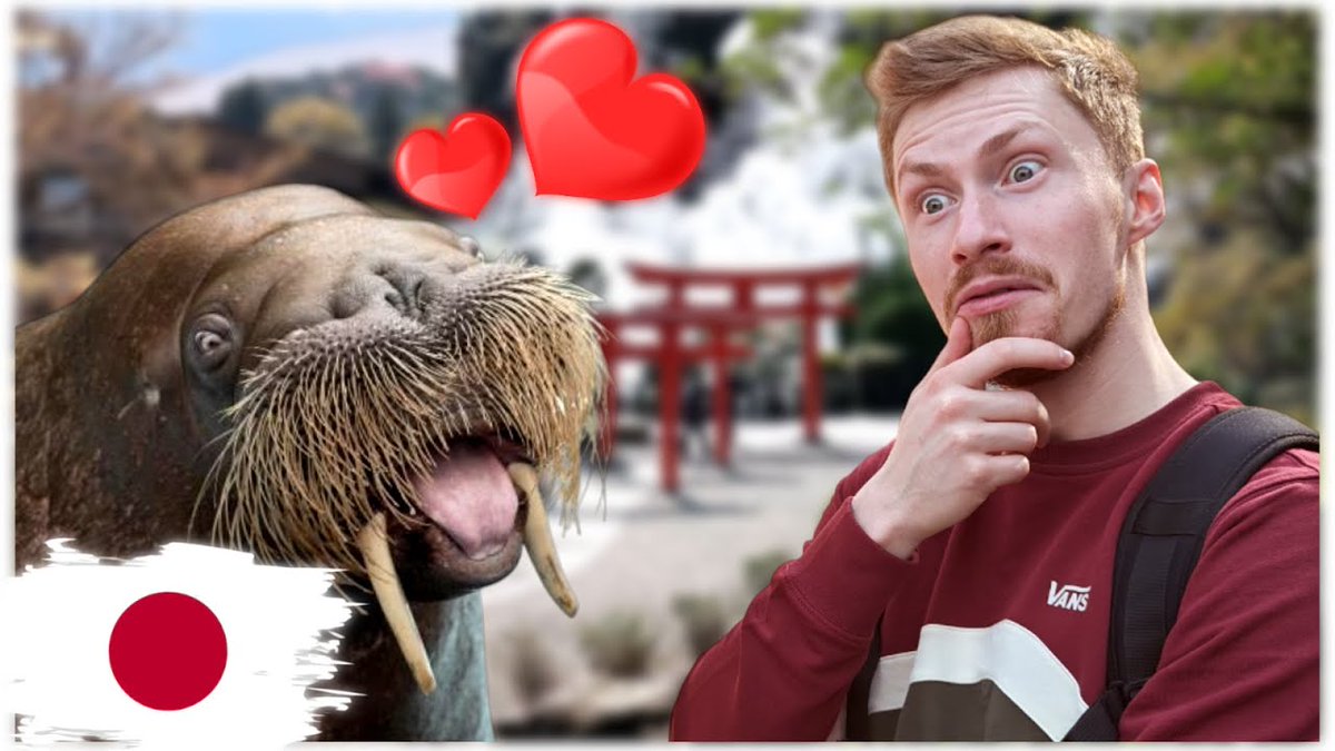 Pääsin paijaamaan MURSUA? ➡️ youtu.be/j7wC_DVdFgA?si…