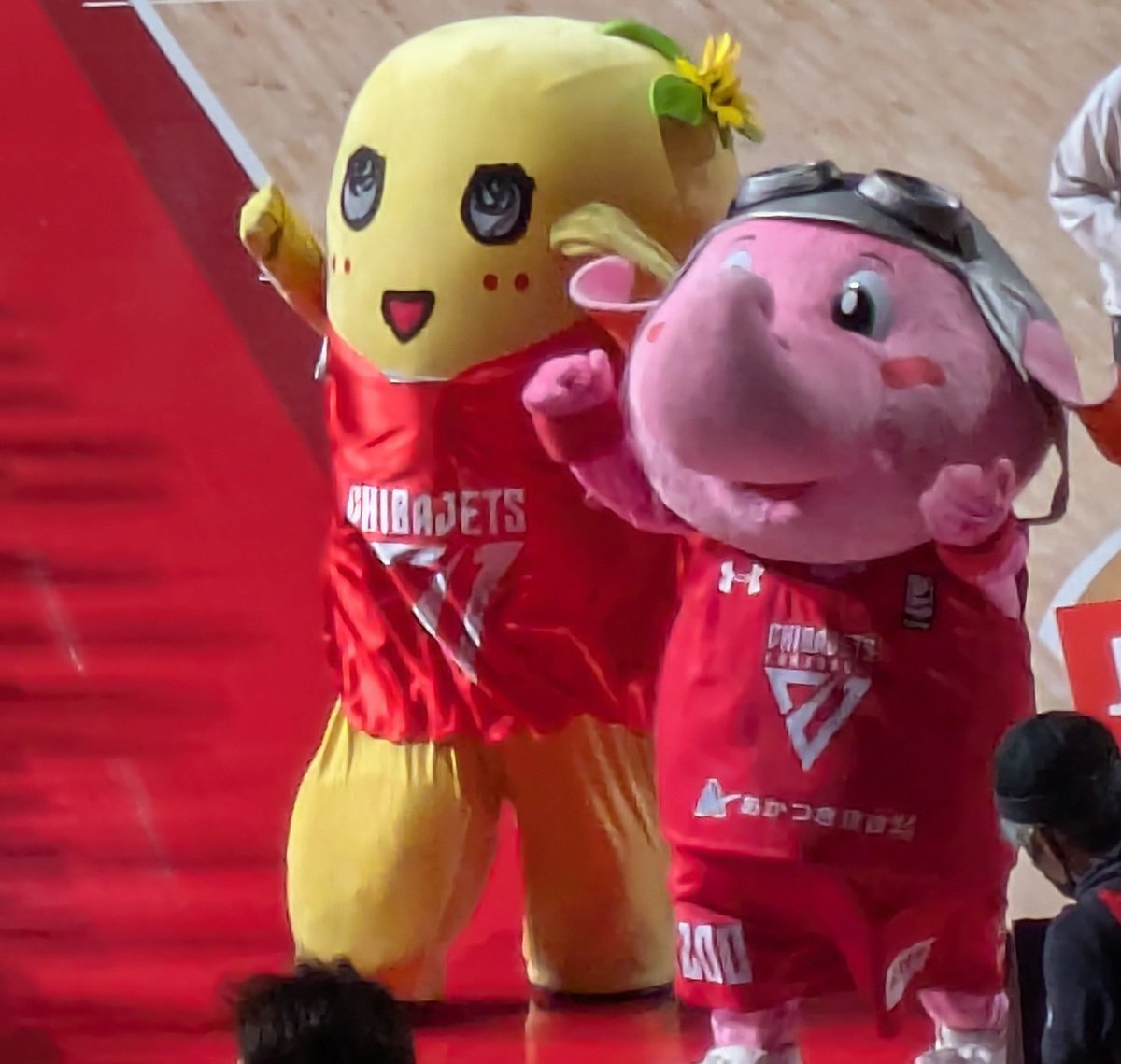 4yrsmile's tweet photo. @funassyi ふなちゃん、今日は残念だったなっしー
また明日ガンガルなっしー！ https://t.co/dDopqam6y6