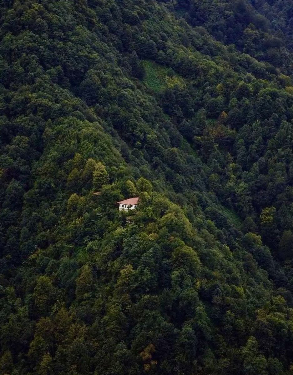 atalaysoft's tweet photo. Kafamın istediği huzur. https://t.co/CazJ7C9UhZ
