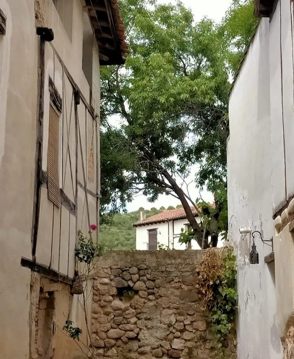 Covarrubias 
Burgos