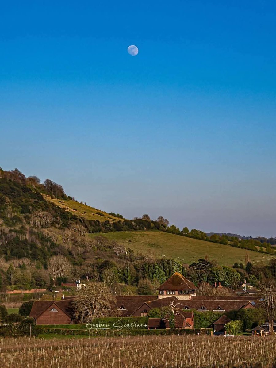 SurreyVineyards's tweet photo. Who's joining us on the Surrey Hills wine route this weekend? It's looking like another glorious opportunity to explore. 🥂🌱☀️

Find seasonal highlights from all our vineyards at https://t.co/BKvILBT9LI ✨️ https://t.co/jyjIQThYa7