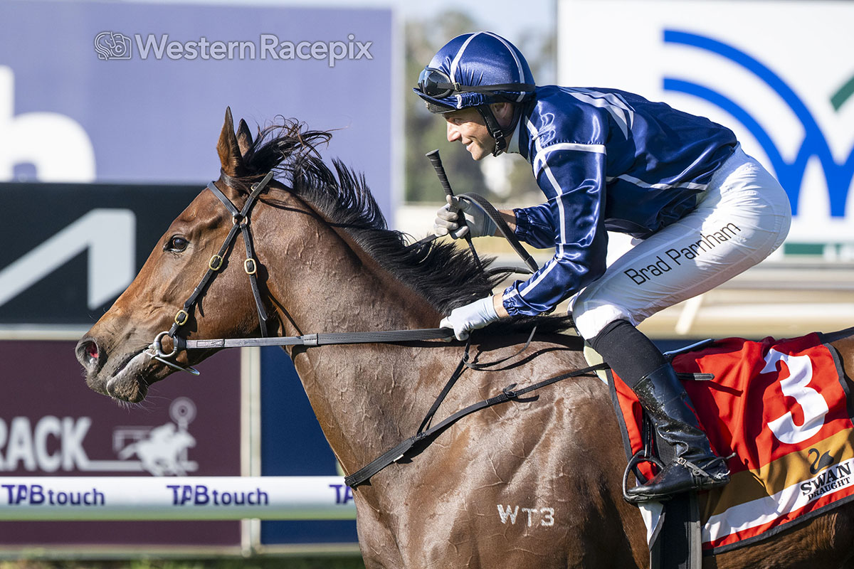WesternRacepix's tweet photo. TALKANCO - 2025 Swan Draught Gimcrack Stakes (Group 3) @PerthRacing #WesternRacepix #GiddyUpAscot #ItalianDay
More ๐ธโ https://t.co/XhRFkk00xX https://t.co/A3Bvdy6T5z