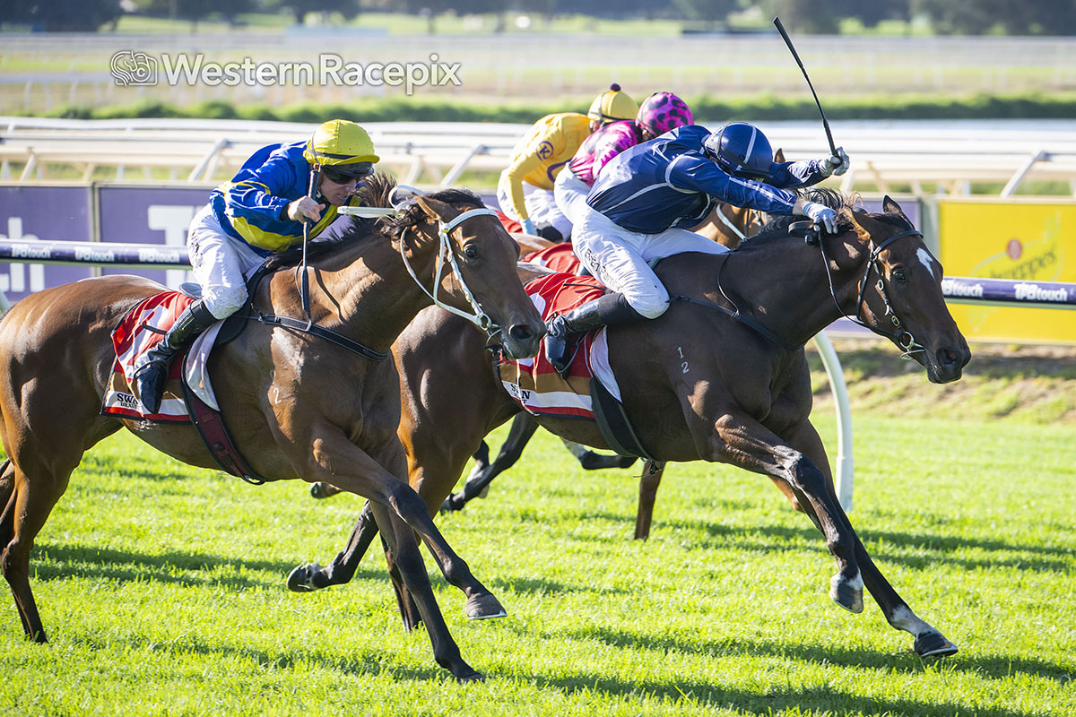 WesternRacepix's tweet photo. TALKANCO - 2025 Swan Draught Gimcrack Stakes (Group 3) @PerthRacing #WesternRacepix #GiddyUpAscot #ItalianDay
More ๐ธโ https://t.co/XhRFkk00xX https://t.co/A3Bvdy6T5z