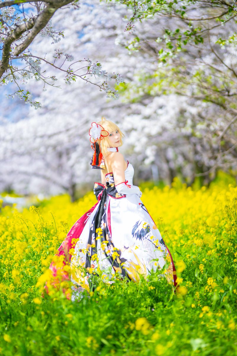 hanae_uzuki's tweet photo. 【Cosplay】

photo by @fken69 https://t.co/UJjMVZdBHz