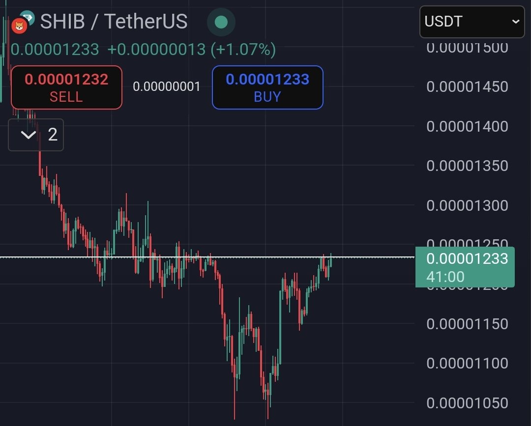 $SHIB KNIGHT tweet media