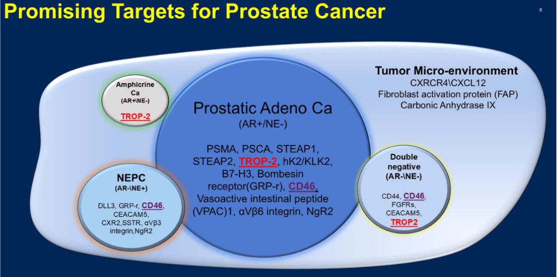 SScagliarini_'s tweet photo. When a conference presentation is an opportunity and a challenge...
Targets on aPC cell surface... 🦠
What a fantastic world!!!
Thanks to @therealmarcodoc !
It ain't over, till It's over…⚾️
#OncoDaily #urofocus #Oncology https://t.co/HJHKiG3Kfy