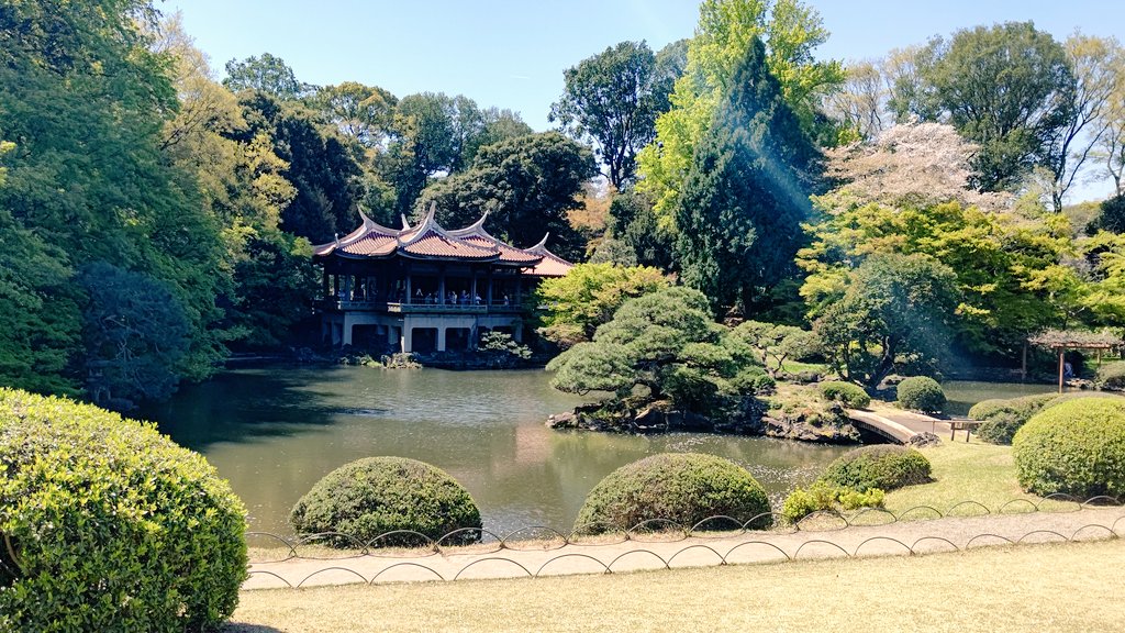 用事のついでに新宿御苑に行ってきました☺️
こんなにも自然たっぷりとは思わなかった！！ #新宿御苑