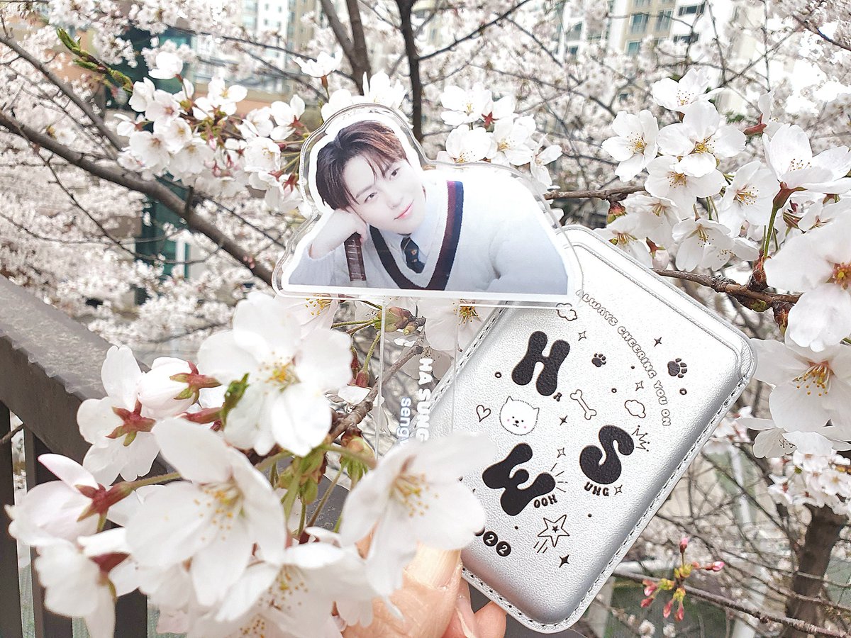 downpour0322's tweet photo. 우왕~정성스럽게 포장해서 보내주신 선물 잘 받았습니다 안경닦이 아쉽게 받지 못했었는데 특전까지 챙겨
주시고 그저 감동이네요😂 벚꽃만큼 예쁜 성운이들 하나하나 잘 간직할게요 감사합니다 우끼행~🧡
@sengvengers https://t.co/9XtATKATo9