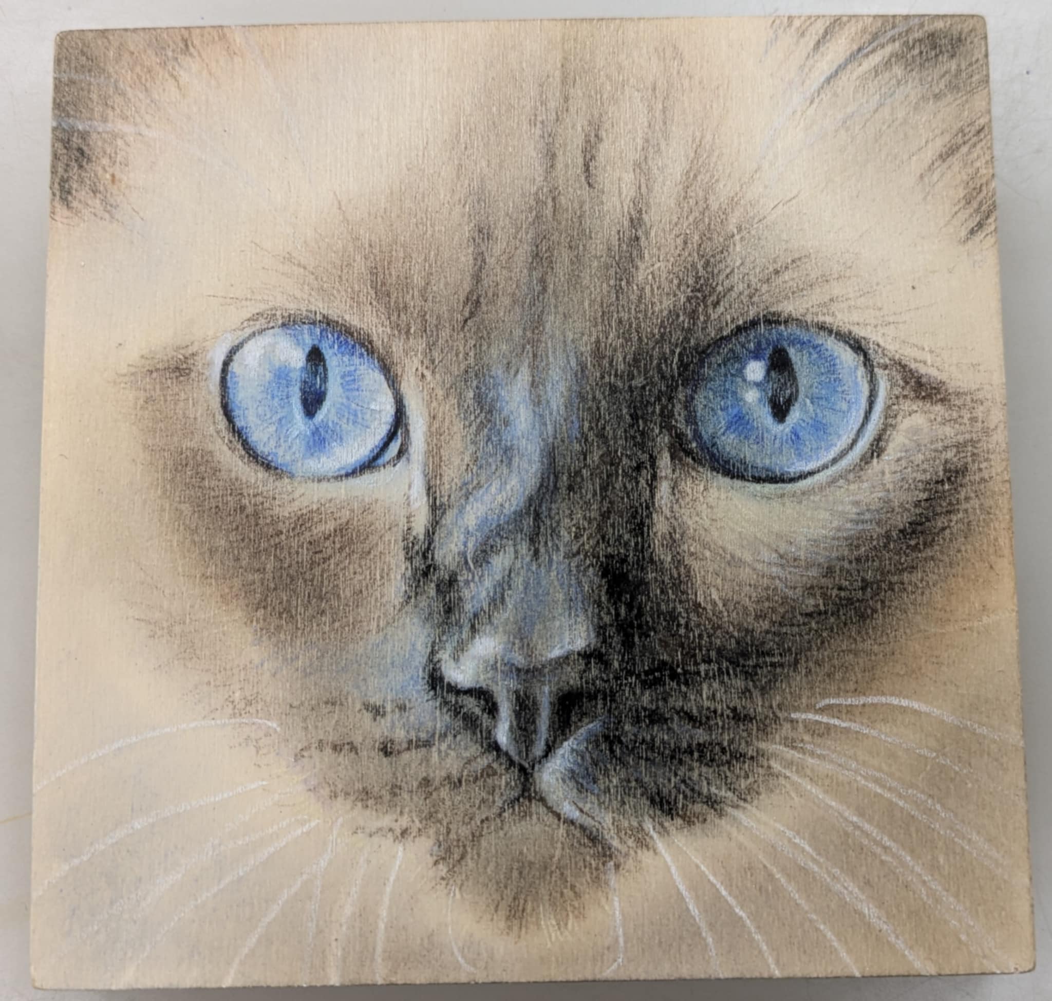 梶原美穂😸5/9-21個展「めぐる」@猫の額(高円寺) (@kajiyon) / X 梶原美穂😸5/9-21個展「めぐる」@猫の額(高円寺) (@kajiyon) / X