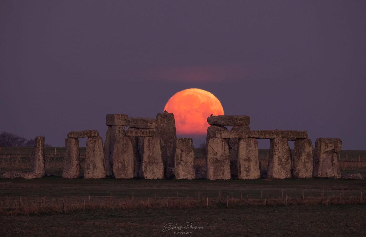 April 2025's Full Pink 🌕 setting behind Stonehenge this morning 😍🌸 Photo credit Nick Bull 🙏
#moon #fullmoon #stonehenge #pinkmoon #FullPinkMoon #astrophotography #astrophoto #pachalmoon