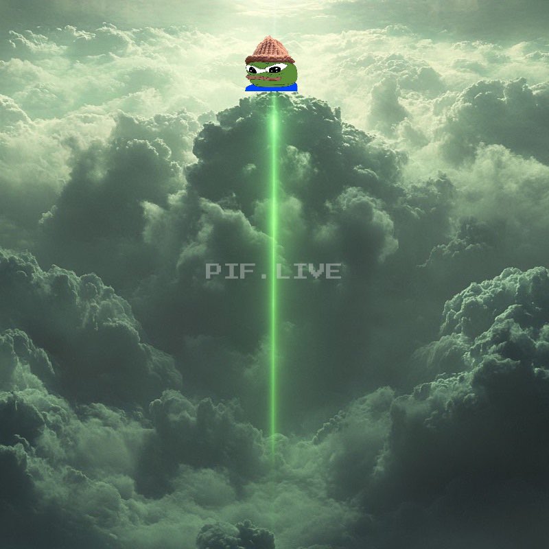c_jarom's tweet photo. @TheDefiApe $PIF @pepewifcoinsol 💎 https://t.co/Kd36anCv0M