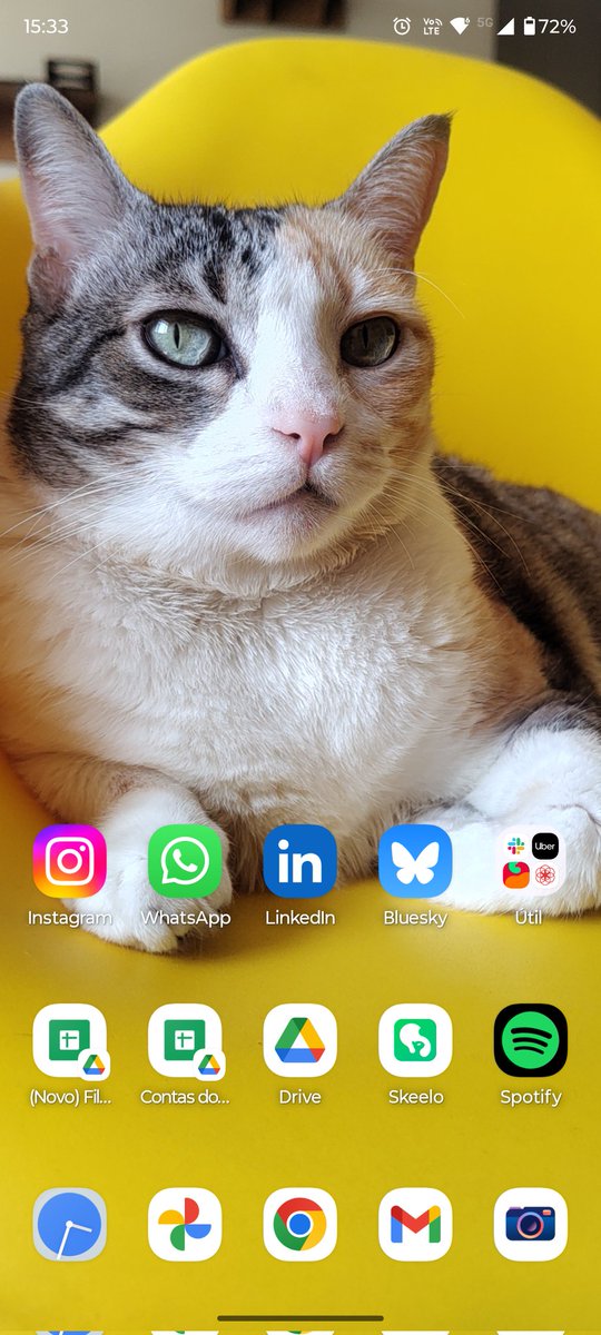 Fê Serodio 🍂 tweet media