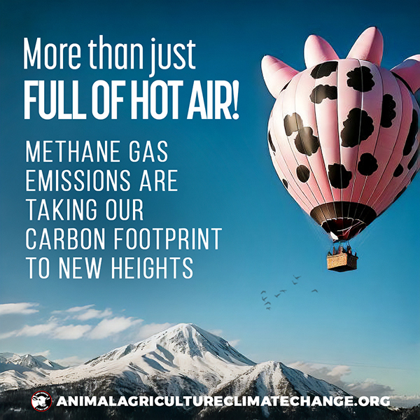 Meat-Free Plate tweet media