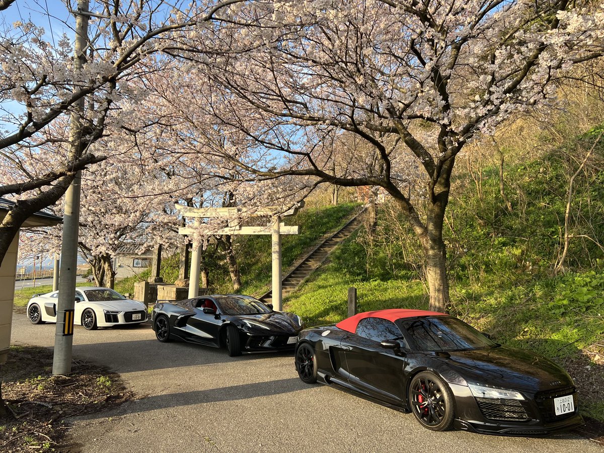 お花見🌸