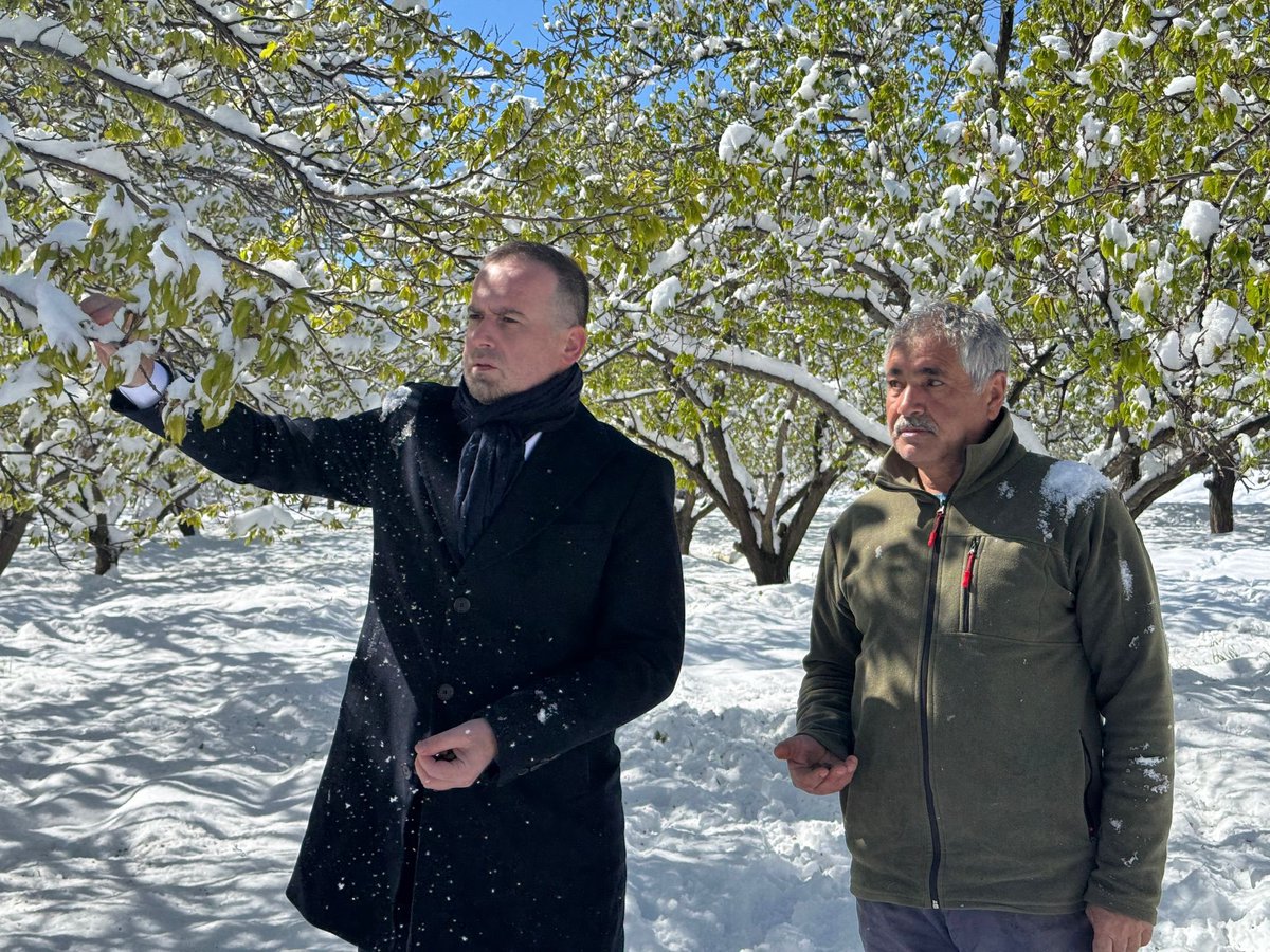 SalihKarademirs's tweet photo. GEÇMİŞ OLSUN MALATYA’m!
#Malatya’mız afet bölgesi ilan edilmelidir!

Kayısı başta olmak üzere tarım alanlarımız ağır zarar gördü.
Ağaçlarımız dondu, ürünlerimiz yandı, üreticimiz çaresiz kaldı.

Bu felaket Ankara’ya taşınmalı, destek gecikmeden gelmeli.

Biz devletimize güveniyoruz.