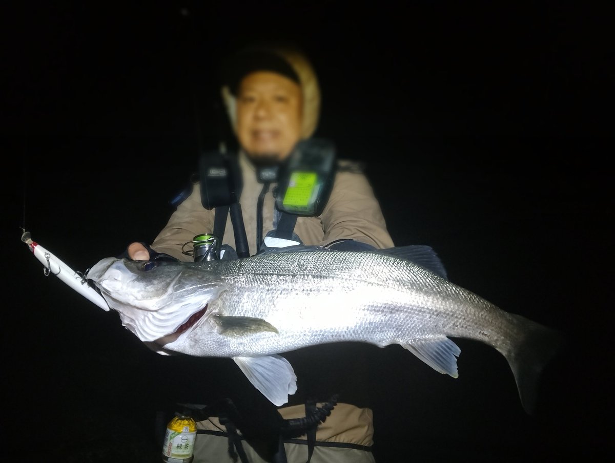 mochriverwading's tweet photo. 真夜中から波かぶってビショビショになりながら。
夜明け前に時合来たけど一瞬だけでした。
今日はシマノの永遠の名作とダイワの過去の名作で🤗
#徳島シーバス
#サイレントアサシン129s
#SL17 https://t.co/Z6G31TxjcG