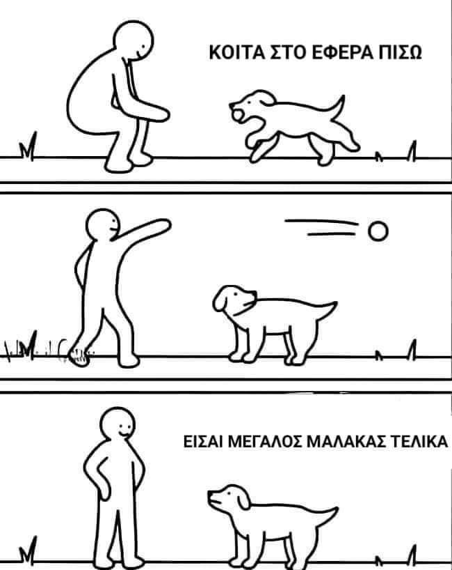 nyxtokavalars's tweet image. 