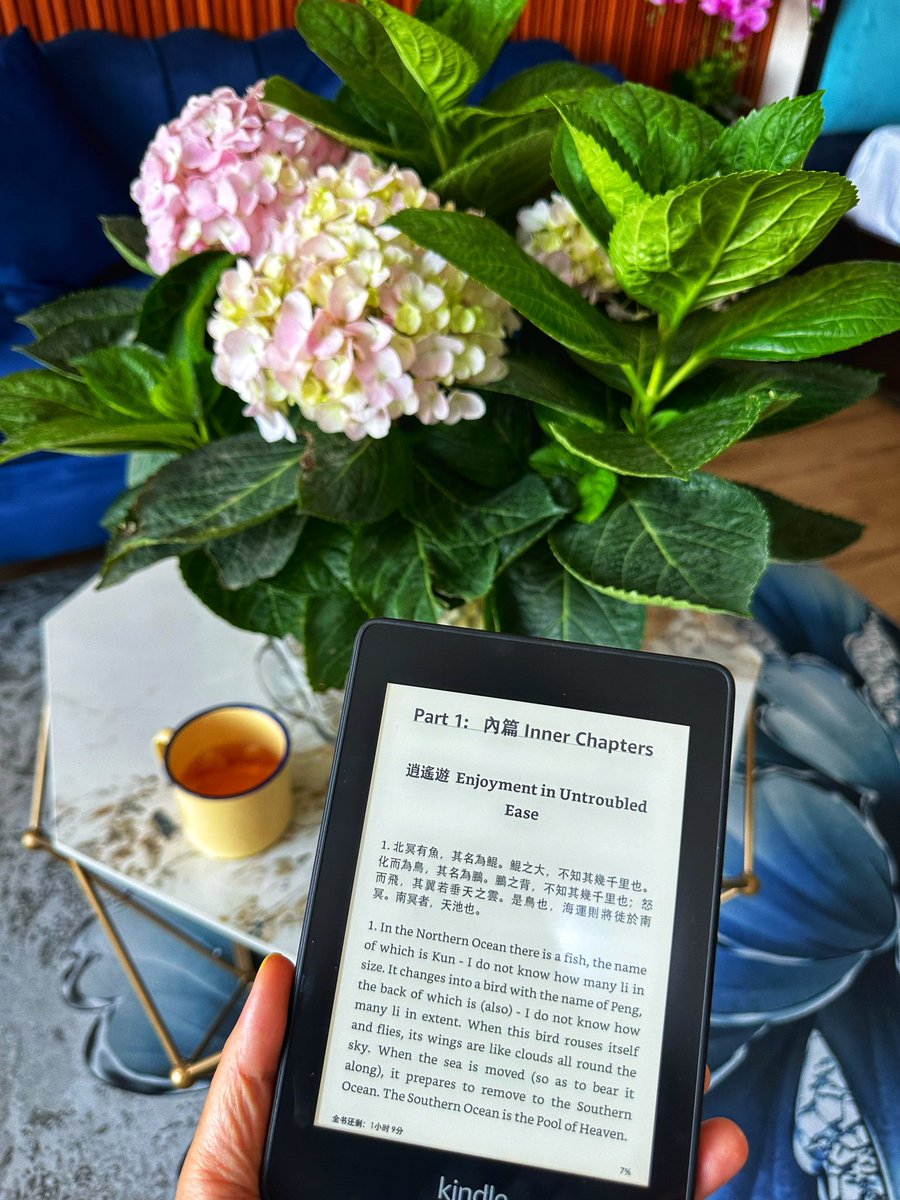 Alex2global's tweet photo. Coming down with Zhuangzi
纷乱世界，
还好有庄子～～ https://t.co/PpT4xld3lT