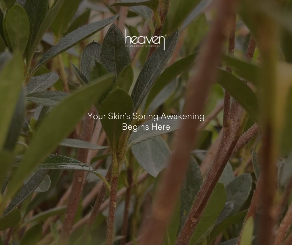 heavenskincare's tweet image. Bring the serenity of spring into your skincare routine. 🌷🌿 Our luxury products, inspired by nature’s most calming ingredients, give your skin the nourishment it desires this season.

Shop - heavenskincare.com

#heavenskincare #springglow #skincareroutine #glowingskin