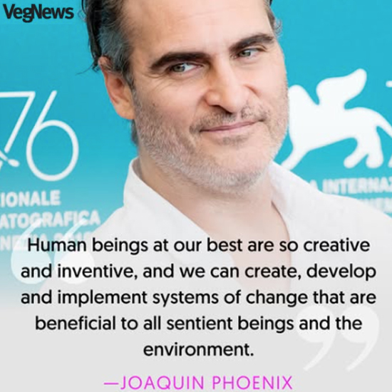 Meat-Free Plate tweet media