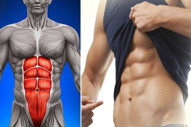 juperdaperso's tweet photo. ✅ ¿No te apetece ir al gimnasio yningún deseo de pagar una suscripción? No hay problema

💯 6 Ejercicios Para Obtener Abdominales En 30 días | Quemar Grasas | Obtener La Mejor Forma.

🧵 HILO 🧵 (GUARDAR AL INSTANTE) https://t.co/L4YXeHBE6q