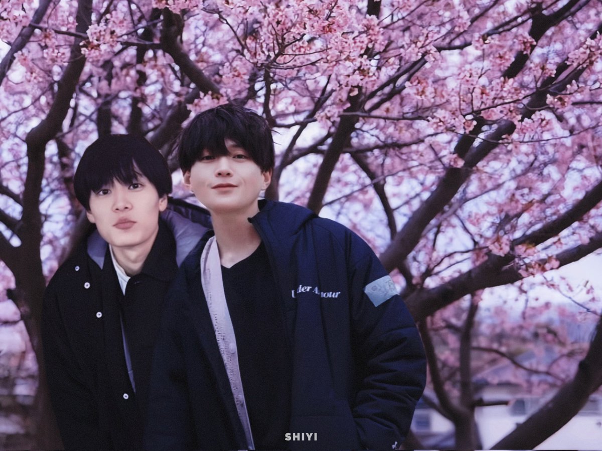 junshiyi's tweet photo. 🌸
#萩原利久 
#八木勇征 
#りくゆせ
#美しい彼 https://t.co/zsgAxpDjpq