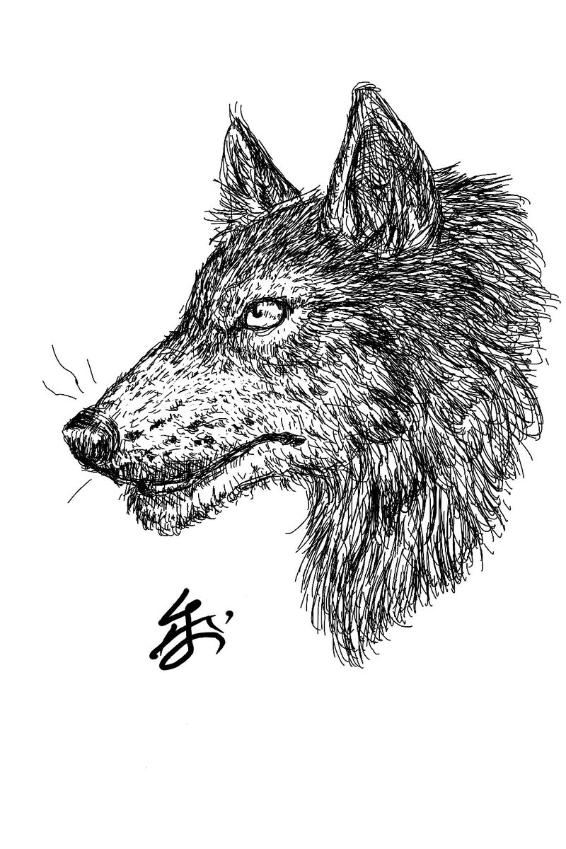 新しいスマホになってペン使ってお絵描きしてみようと思って落書き
資料みてないから細部を観察してはいけない、いいね？
使い心地よかったら下書きとかネタ降臨したときに使っていきたい
メモも手書きでとれるっぽいから活用していきたい…！