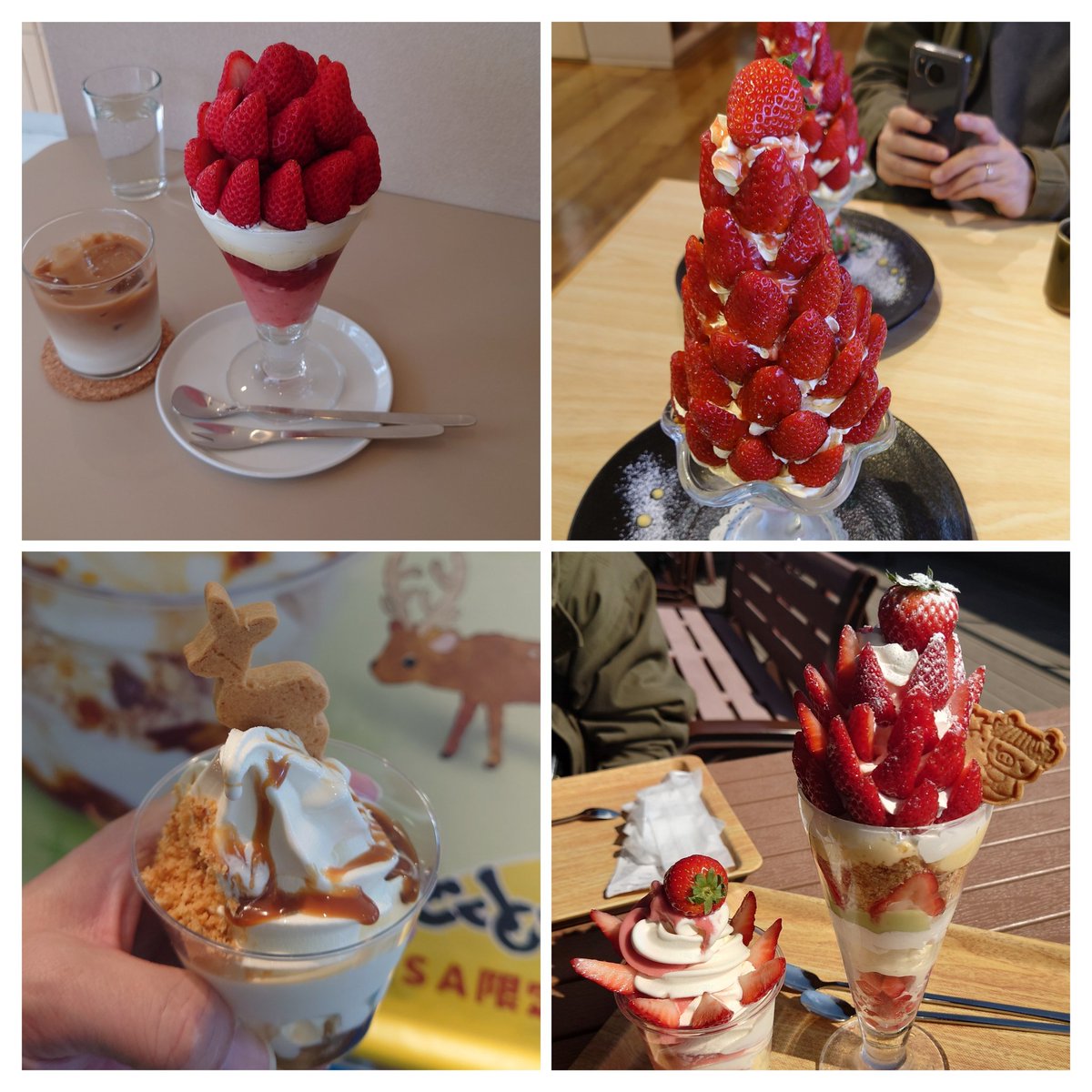 mariuri0331's tweet photo. 3月に食べた美味しい物😋
今年は道の駅へぐりの古都華パフェ🍓食べに何回奈良に行ったんだろう🚗💨
唐古の古都華パフェ🍓は初めて食べた✨️
香芝SAのキャラメルソフト🦌
高槻mikakuさんのいちごパフェ🍓 https://t.co/TAPtuUGsZZ